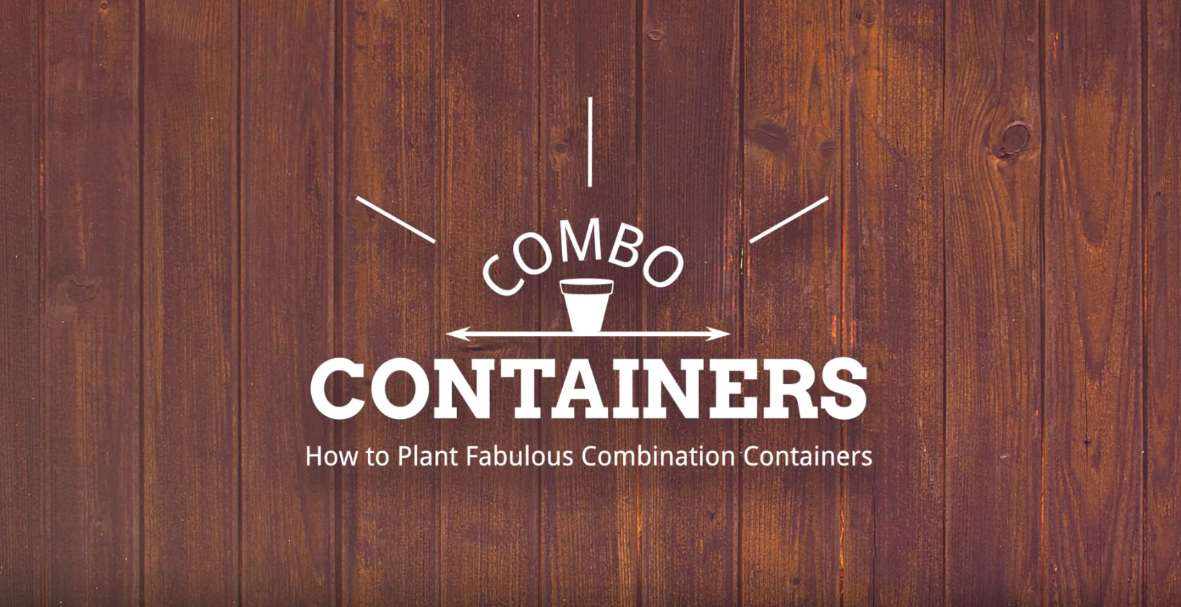 How-To Create A Simple Container Garden 