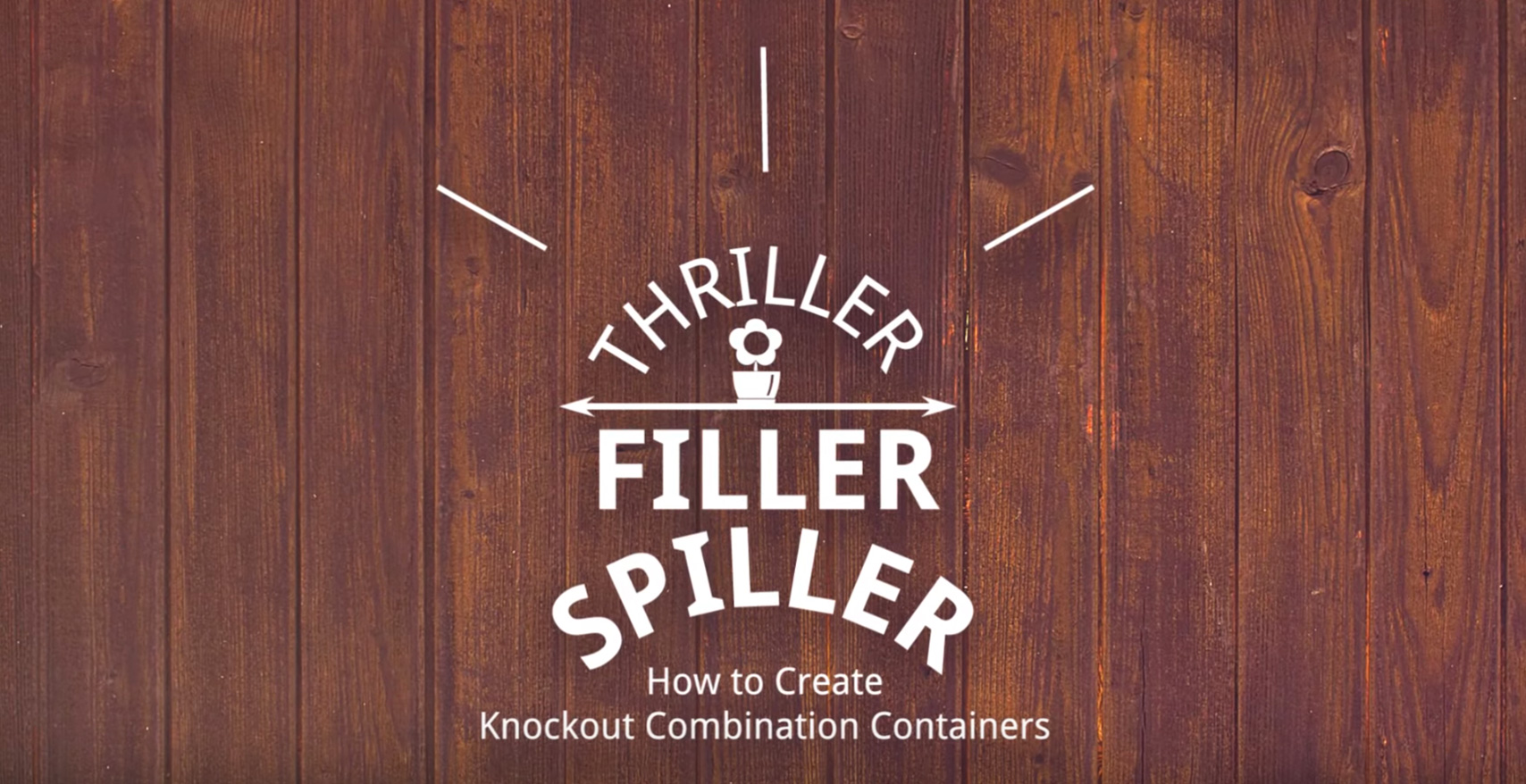 How-To Create A Thriller/Filler/Spiller Combination Container