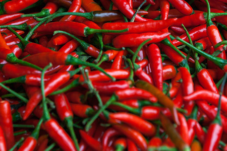 Hot Peppers... The Hotter the Better