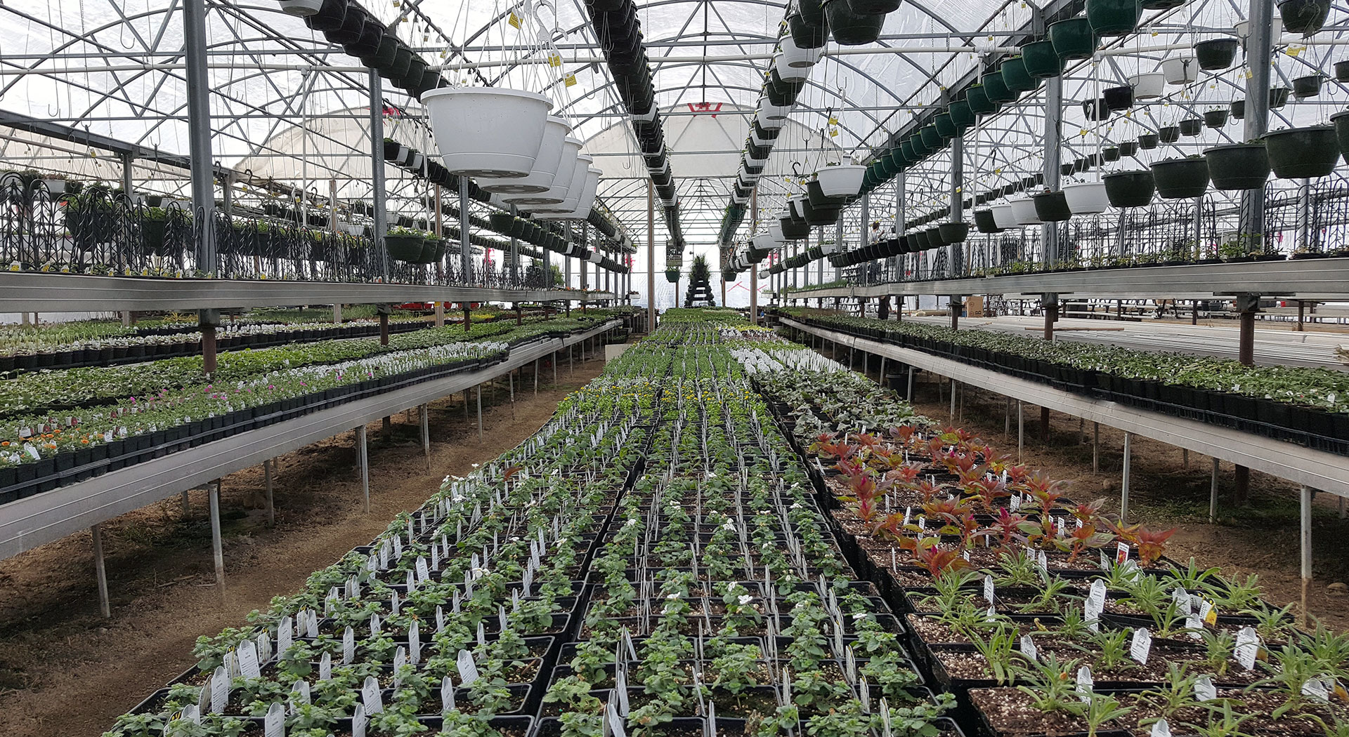 Product List - BMR Greenhouses & Water Gardens Ltd.